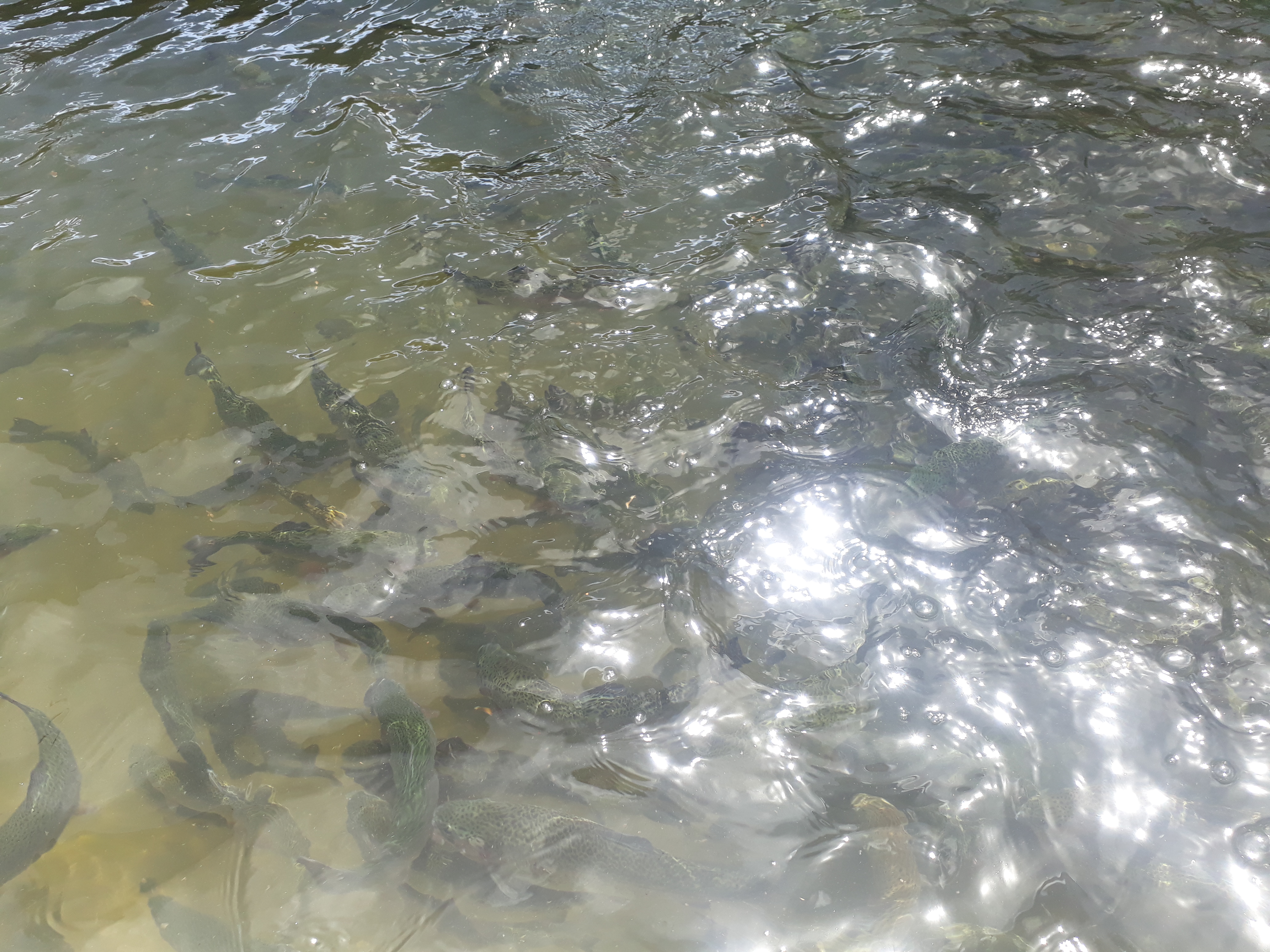 20190622_104437.jpg