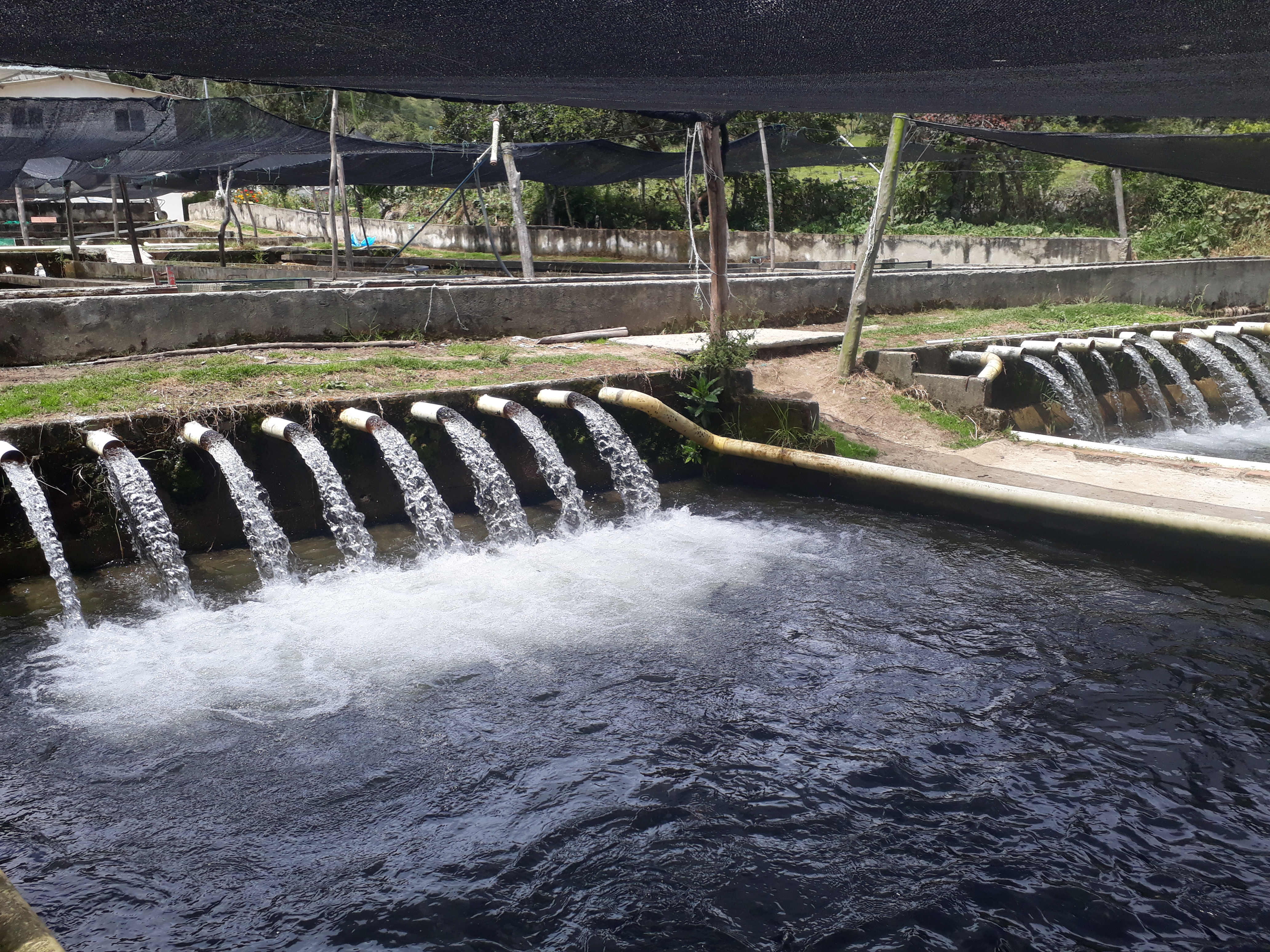 20190622_105532.jpg